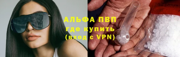 ПСИЛОЦИБИНОВЫЕ ГРИБЫ Карталы
