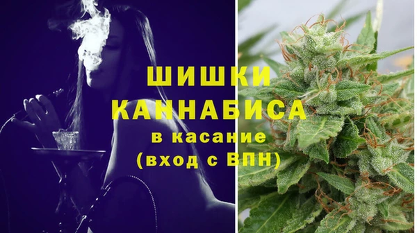 молекула духа Новокубанск