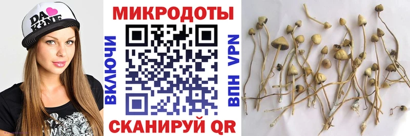 Галлюциногенные грибы Psilocybe даркнет сайт Серов